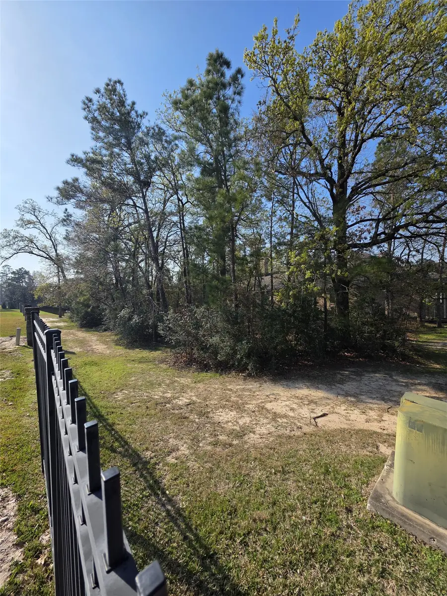 25103 Arcane Court, Spring, TX 77389 - #2