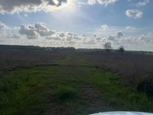 509 County Road 2285, Cleveland, TX 77327