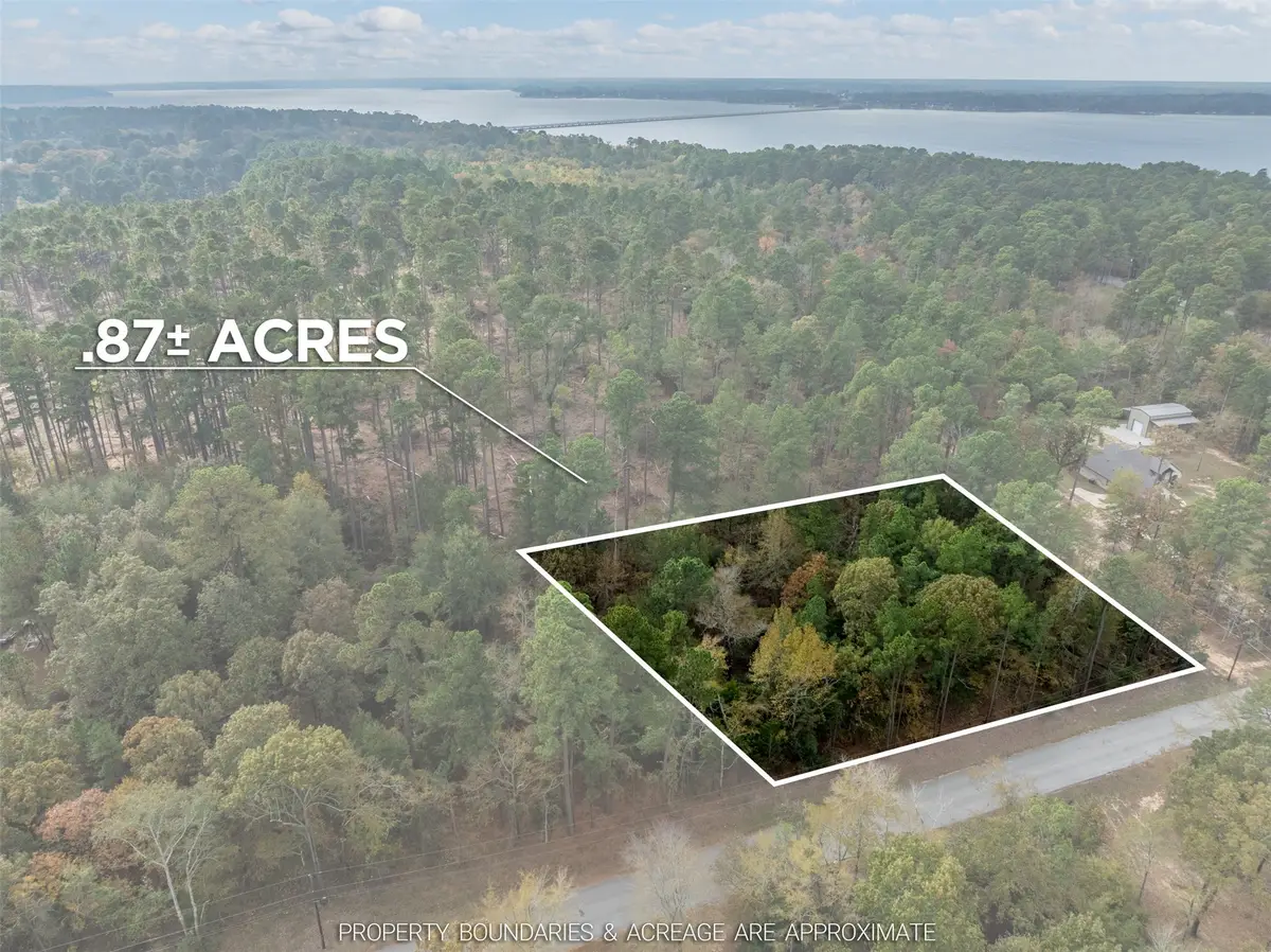 Lot 11 Pintail Drive, Flint, TX 75762 - Image #1