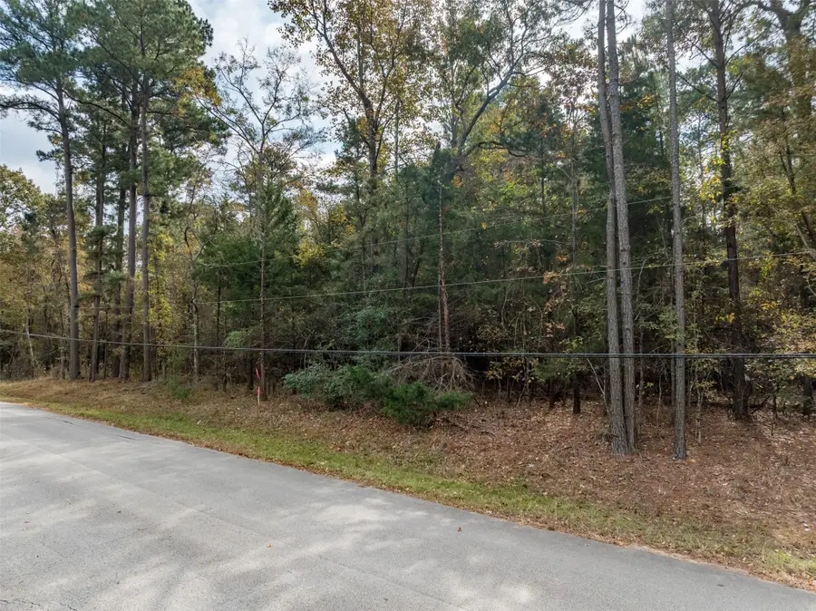 Lot 11 Pintail Drive, Flint, TX 75762 - Image #2