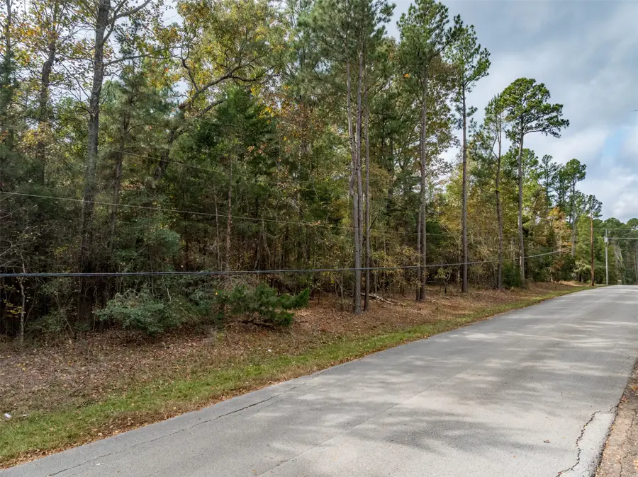 Lot 11 Pintail Drive, Flint, TX 75762 - Image #3