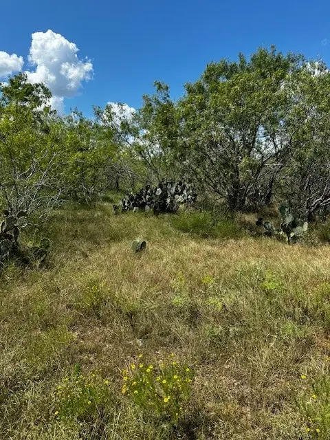 Lot 4 County Road 420, Waelder, TX 78959 - Image #3