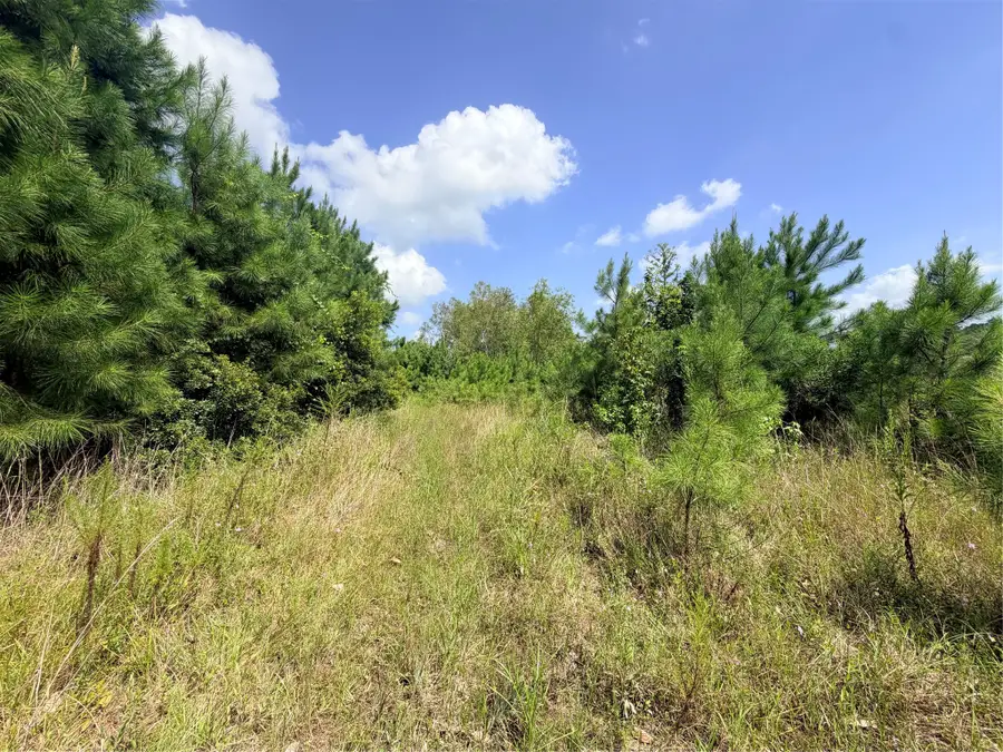 385 County Road 3773, Cleveland, TX 77327 - #2