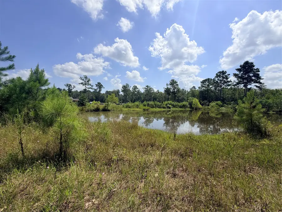 385 County Road 3773, Cleveland, TX 77327 - #3