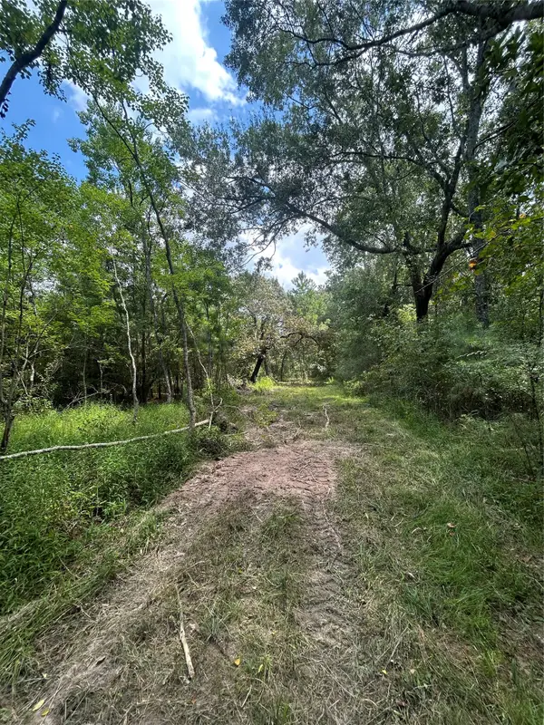 11919 Hickory Wood, Pinehurst, TX 77362