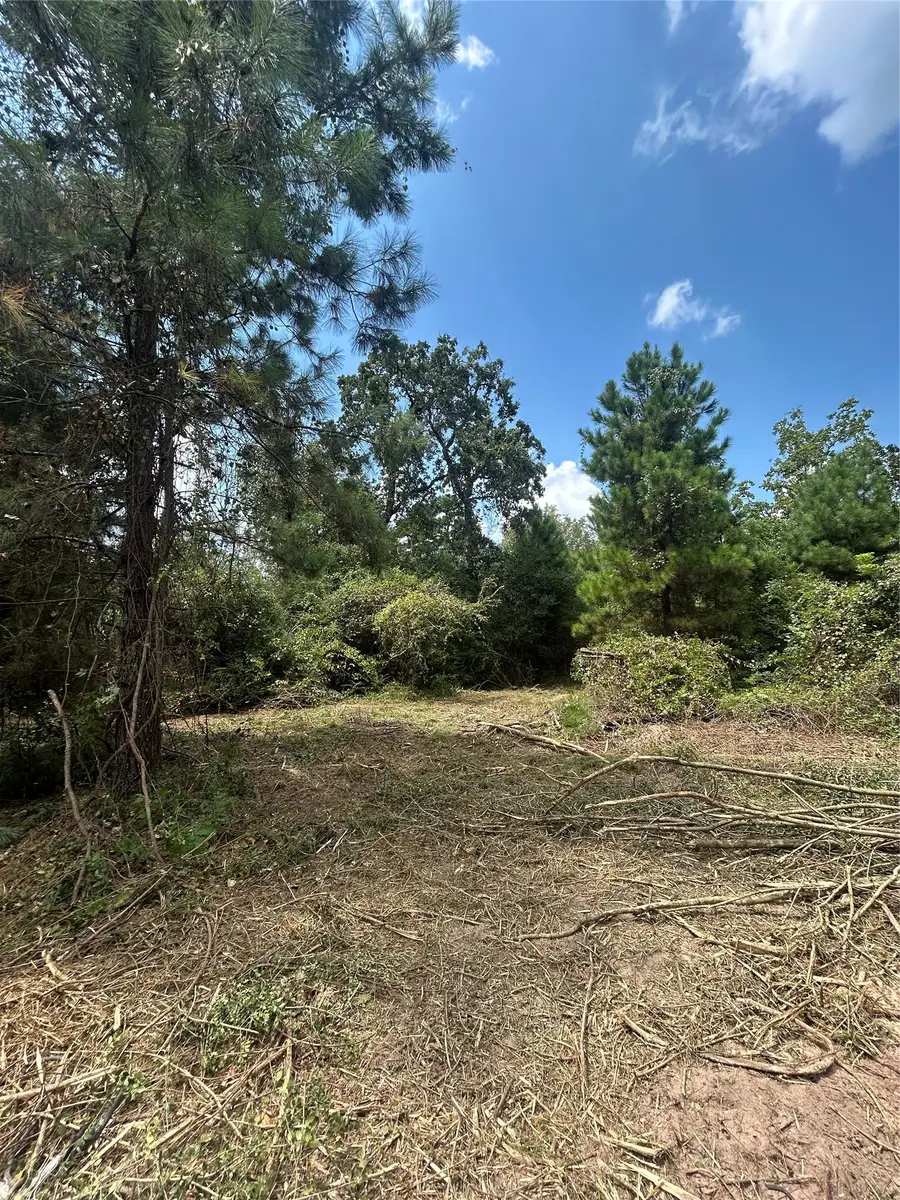 11919 Hickory Wood, Pinehurst, TX 77362 - #3