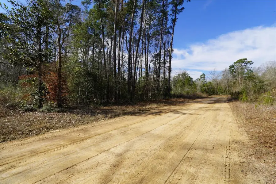 TBD Road 2638, Cleveland, TX 77327 - #2