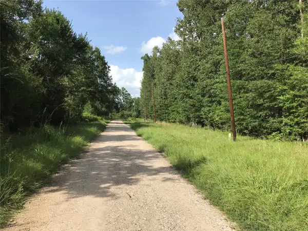 Lot 193 Elmwood Drive, Livingston, TX 77351