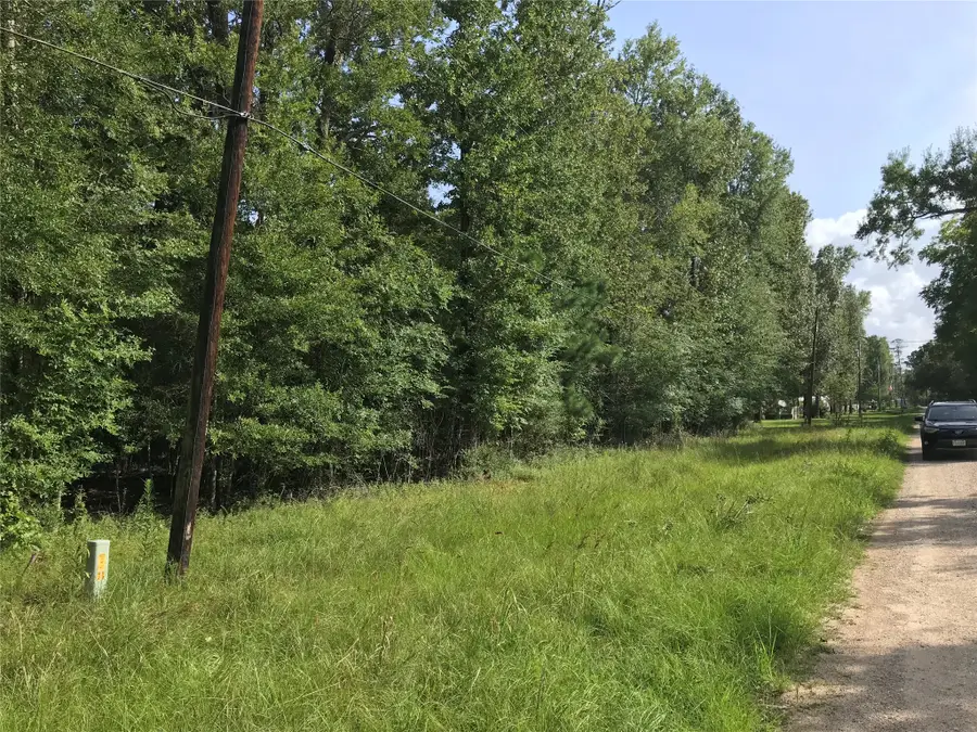 Lot 193 Elmwood Drive, Livingston, TX 77351 - #2