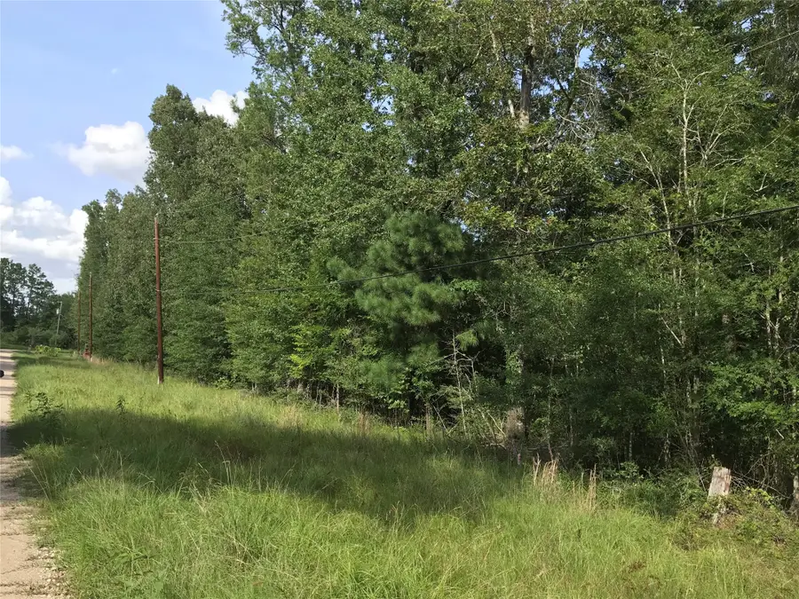 Lot 193 Elmwood Drive, Livingston, TX 77351 - #3