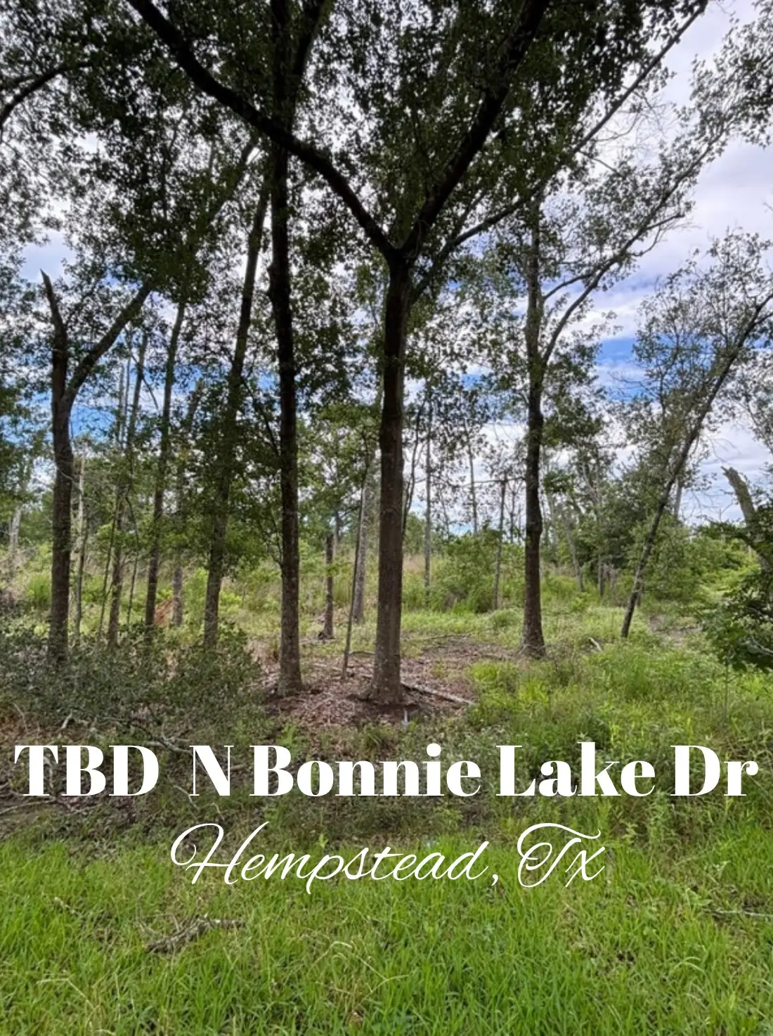 TBD N Bonnie Lake Dr, Hempstead, TX 77445 - #1
