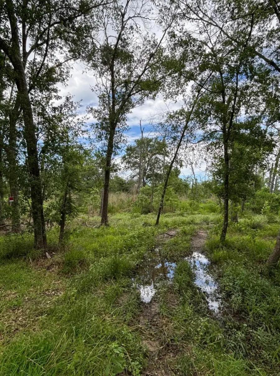 TBD N Bonnie Lake Dr, Hempstead, TX 77445 - #2