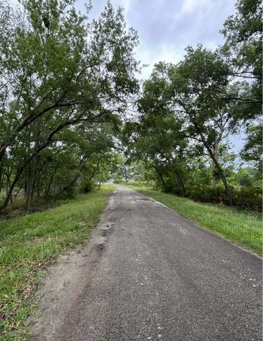 TBD N Bonnie Lake Dr, Hempstead, TX 77445 - #3