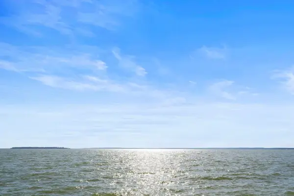 325 Carolcrest Lane #3, Livingston, TX 77351