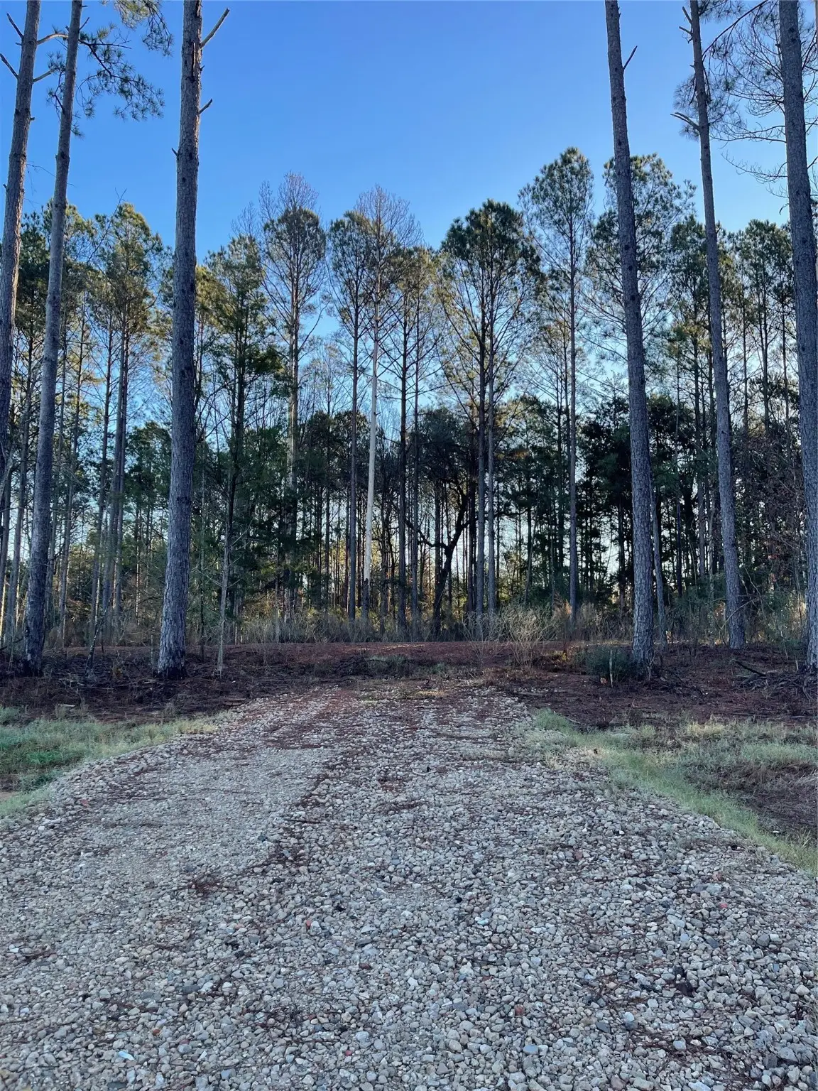 11362 Annie Creek Drive, Willis, TX 77378 - #1