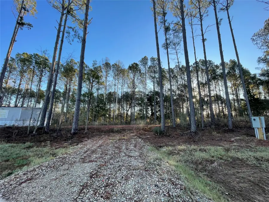 11362 Annie Creek Drive, Willis, TX 77378 - #2