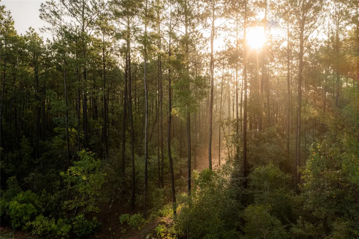 12038 Compassion Lane, Willis, TX 77378 - Image #1