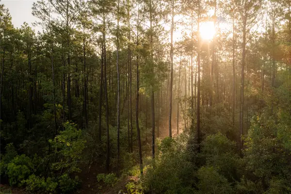 12038 Compassion Lane, Willis, TX 77378