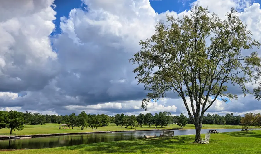 12038 Compassion Lane, Willis, TX 77378 - Image #3