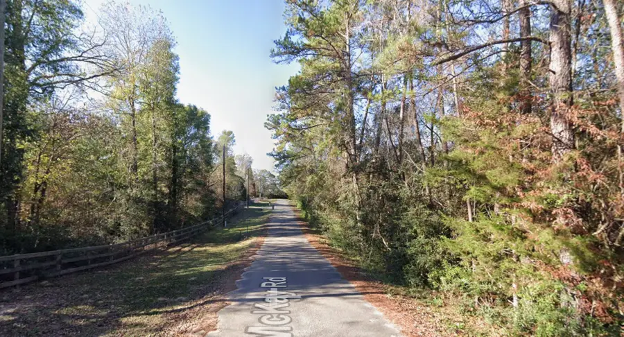 15685 Mckay Road, Willis, TX 77378 - #3