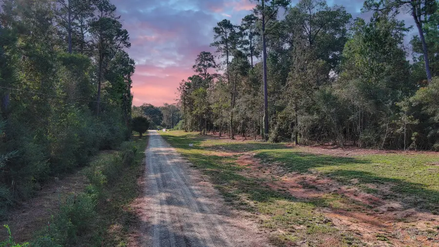 TBD Gregory, New Waverly, TX 77358 - Image #3