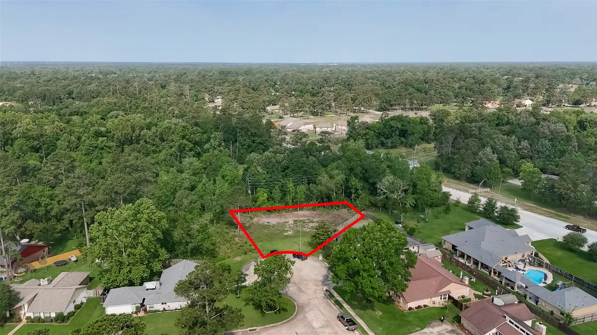 1314 Poppets Way, Crosby, TX 77532 - #1