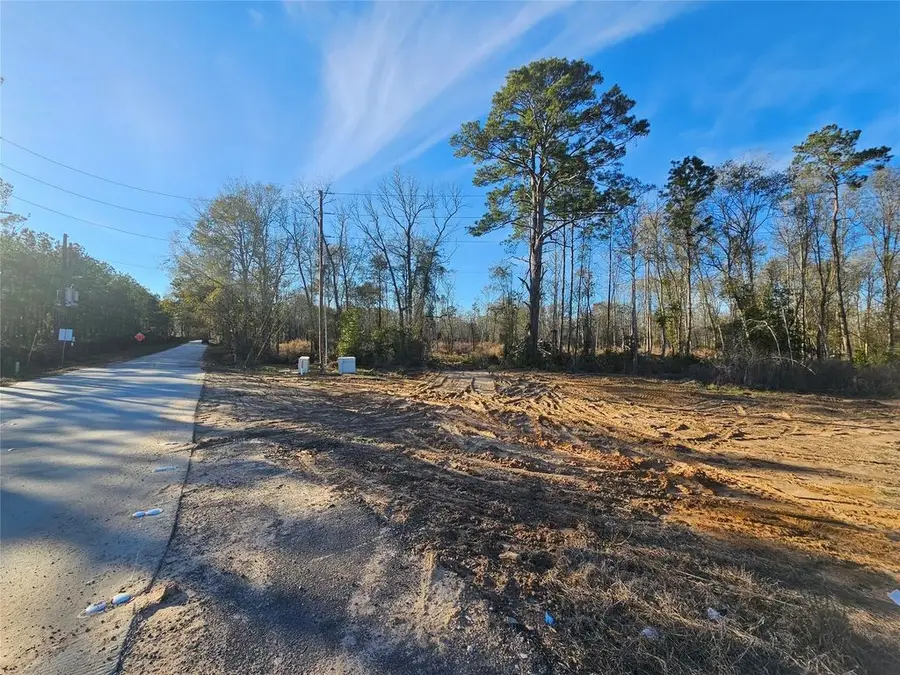 Lot 47 Sherwood Drive, Shepherd, TX 77371 - #3