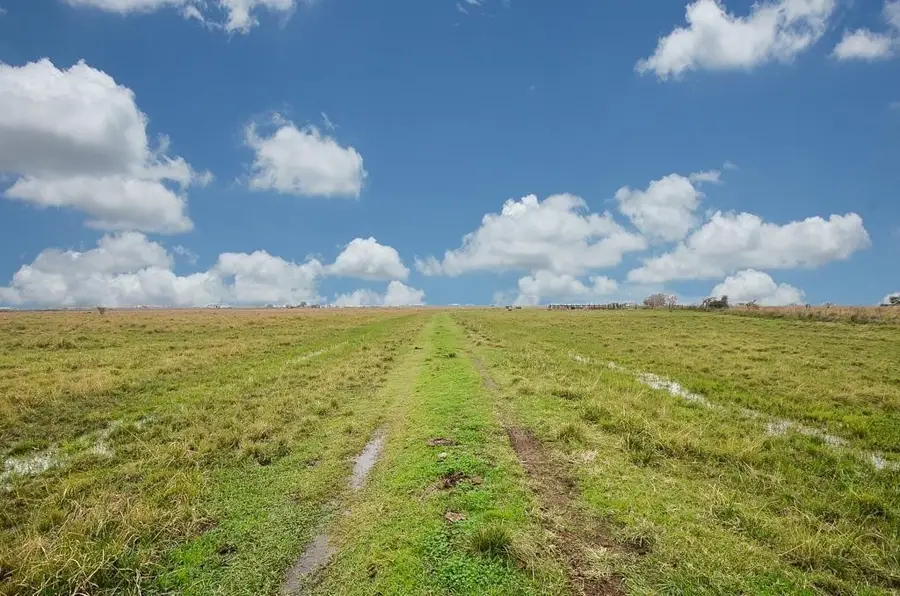 1 Brumbelow Road, Needville, TX 77461 - #2