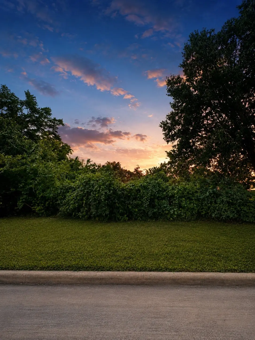 6250 Nuben Street, Houston, TX 77091 - #1