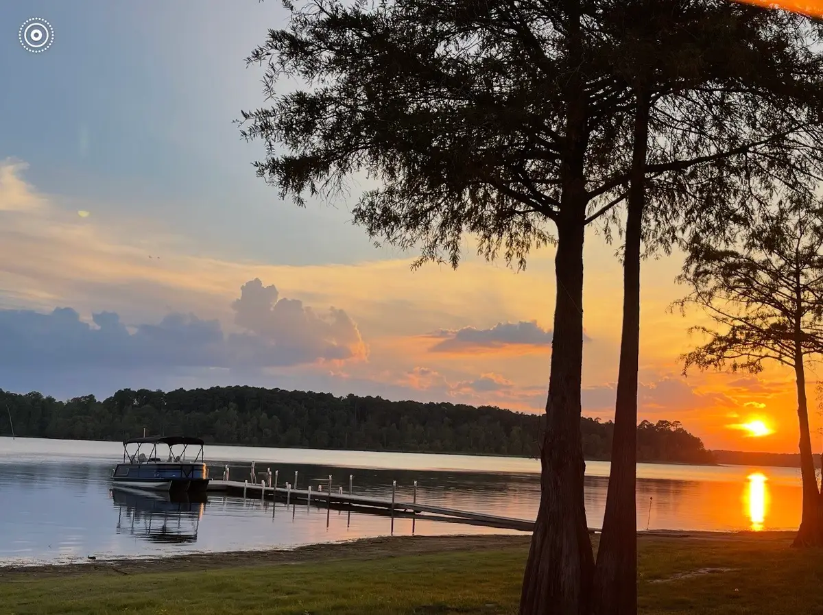 763 Mill Creek Acres Rd, Brookeland, TX 75931 - #1