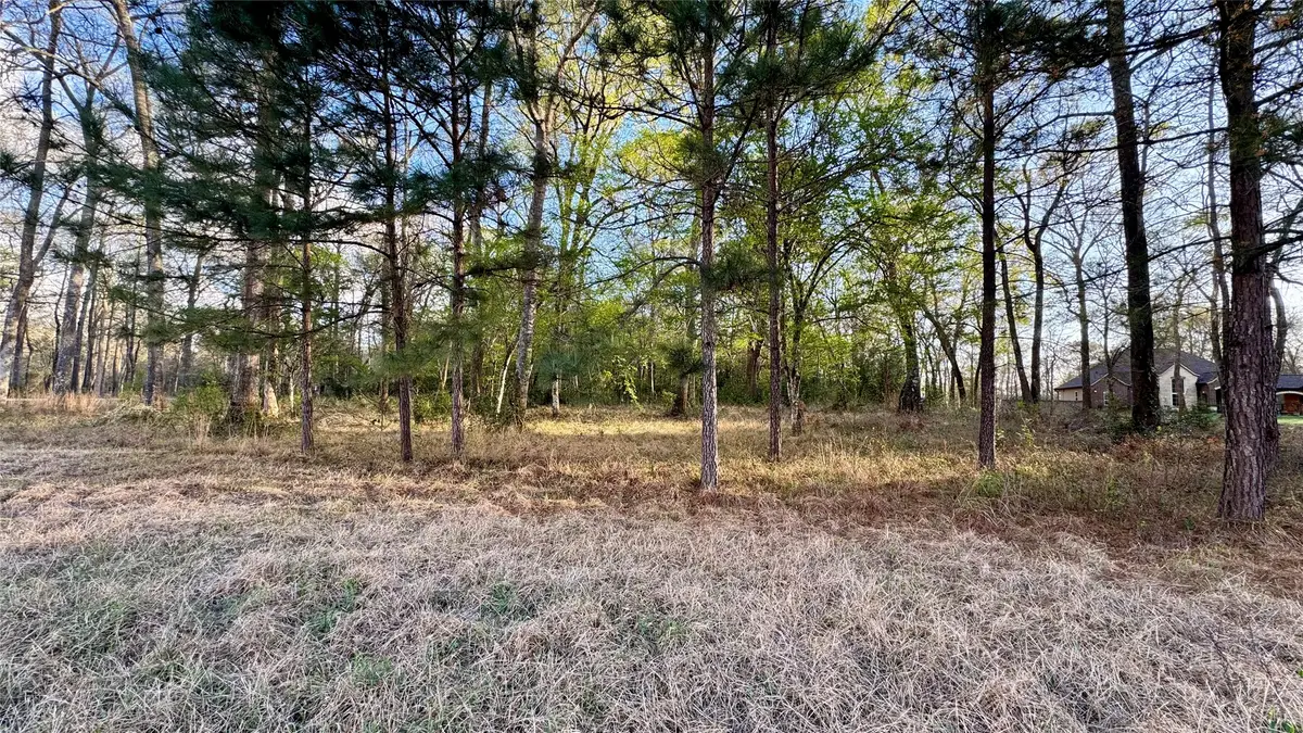 15767 Fm 1008, Dayton, TX 77535 - #1