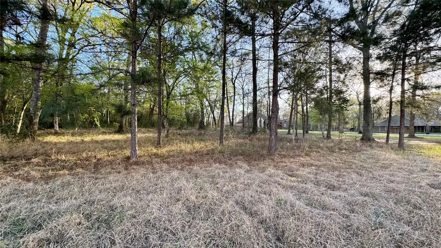 15767 Fm 1008, Dayton, TX 77535 - #3