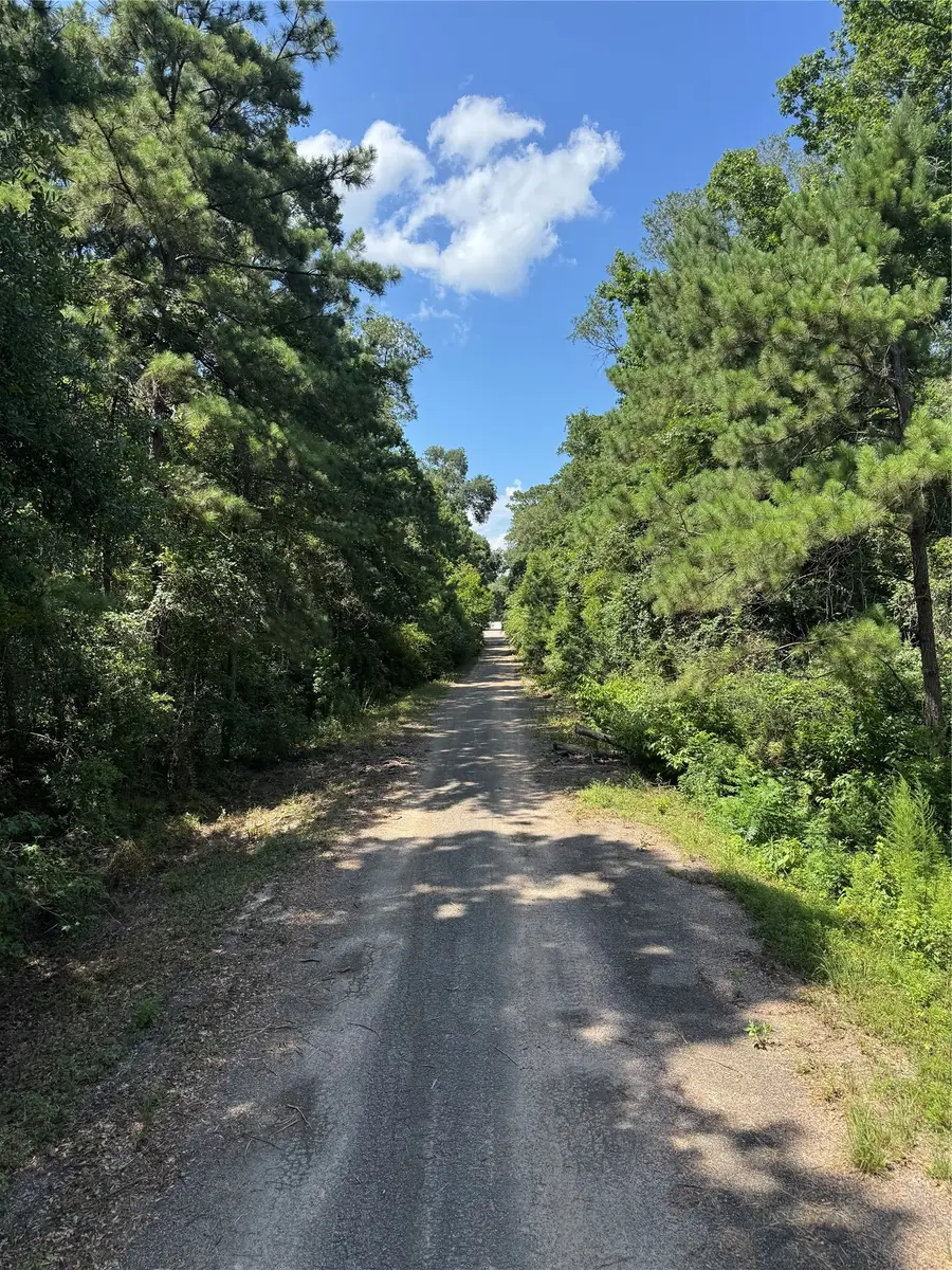 15661 Hickory Lane, Splendora, TX 77372 - #3