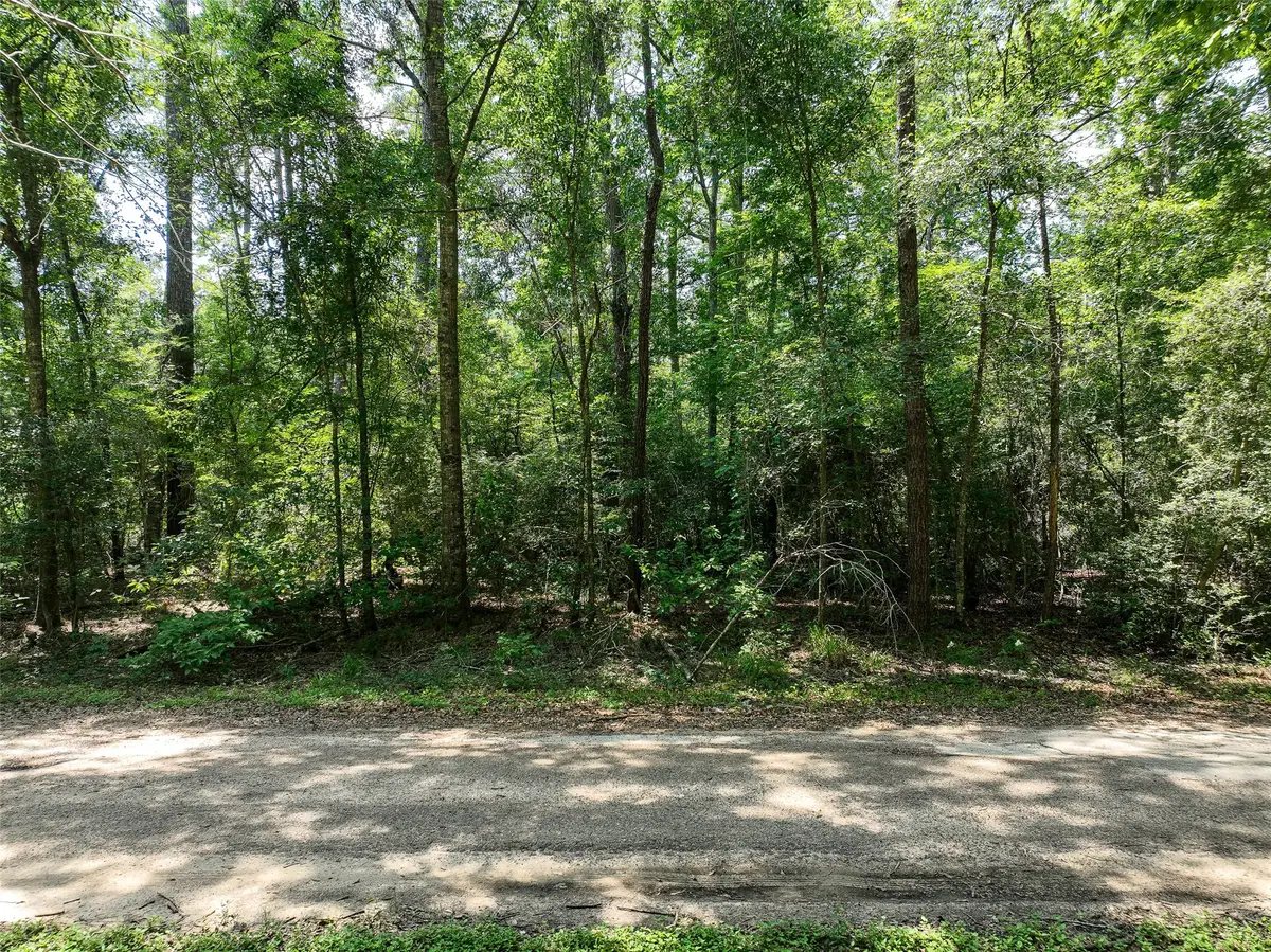 0 Fairway Dr, New Caney, TX 77357 - #1