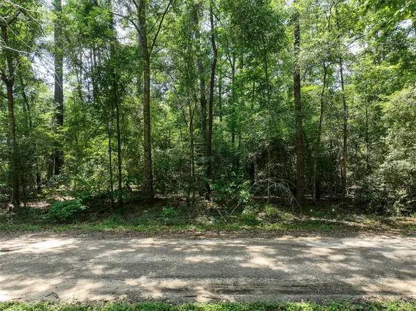0 Fairway Dr, New Caney, TX 77357