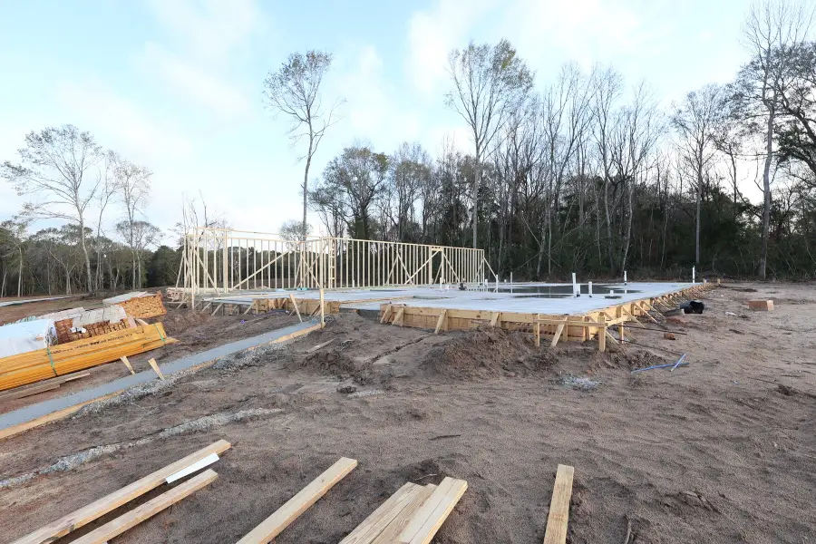 124 Roebuck Lane, New Waverly, TX 77358 - Image #2