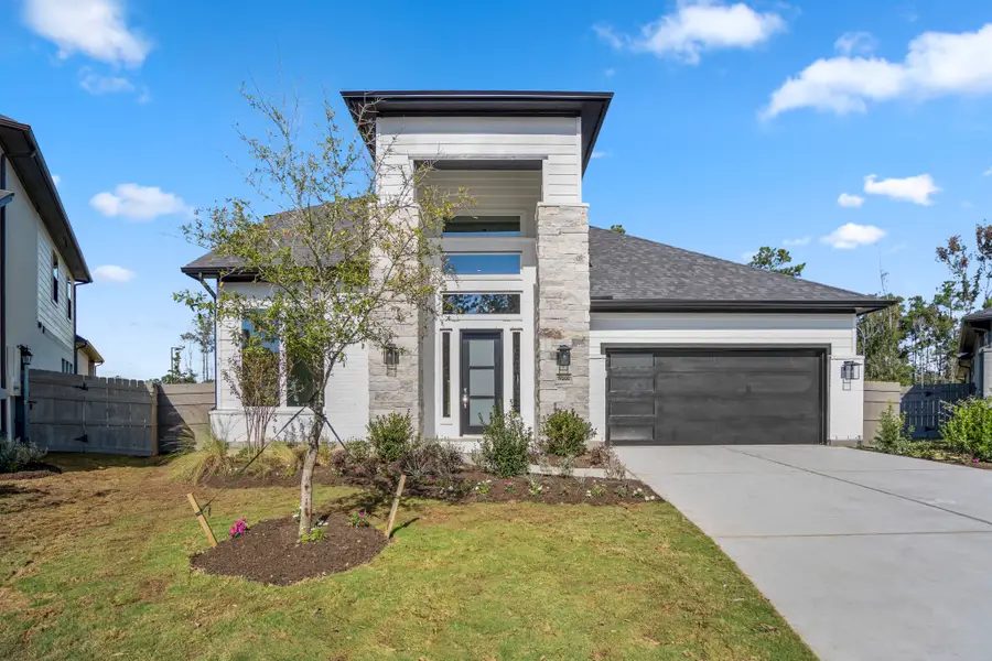 17202 Blooming Suzans Lane, Conroe, TX 77302 - #2