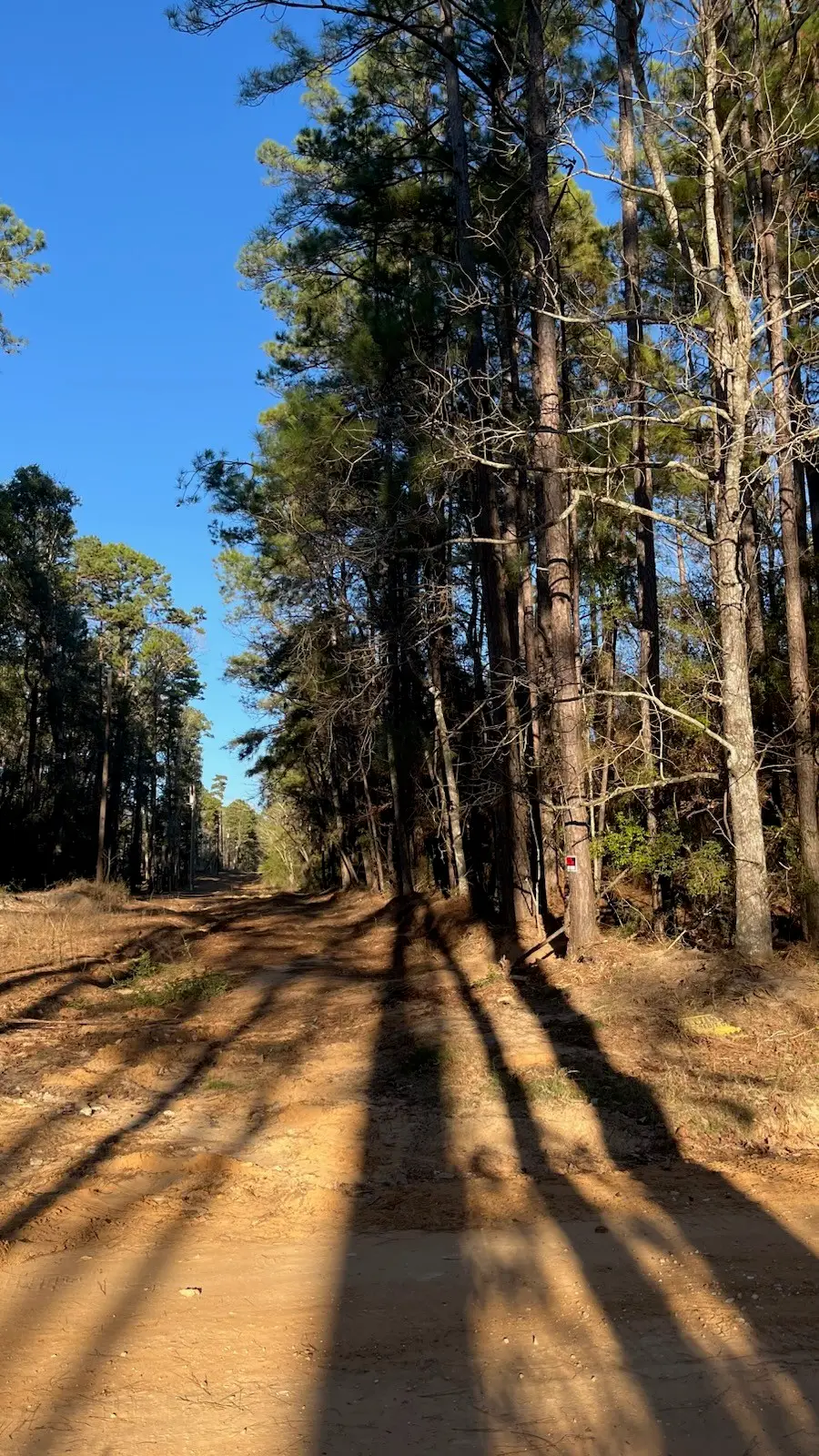 0 Monroe Drive, Livingston, TX 77351 - #2