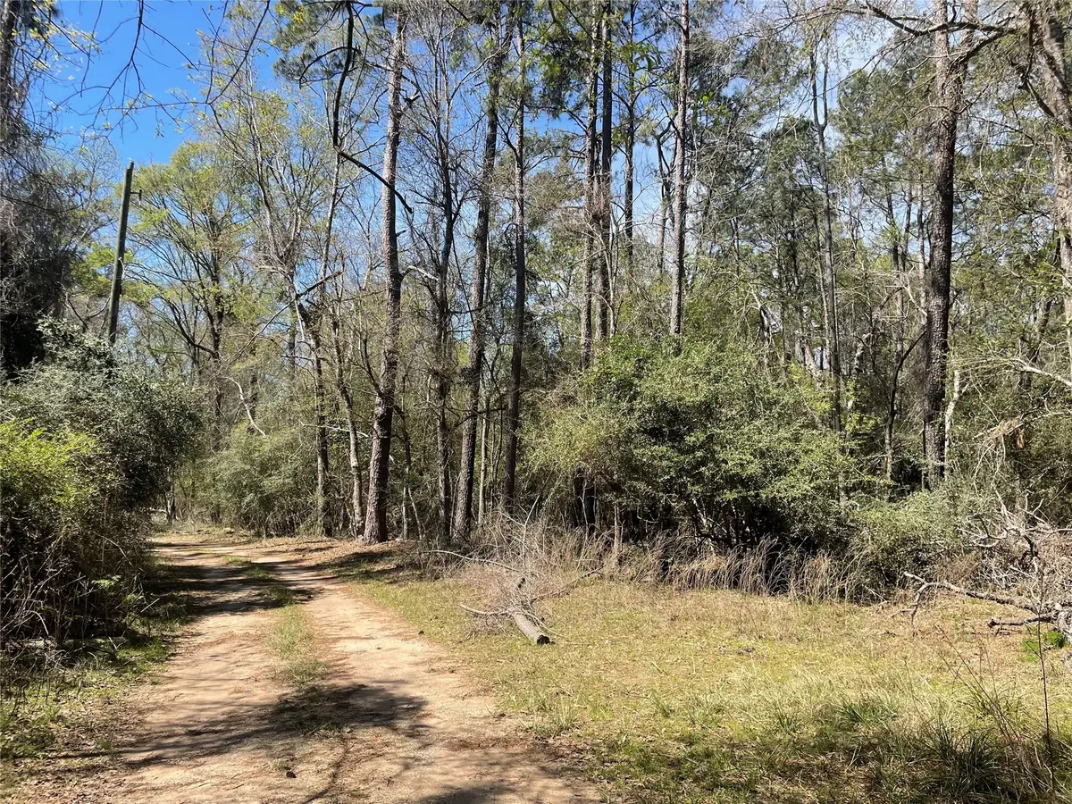 404 Possum Park Rd Road, Houston, TX 77338 - Image #1