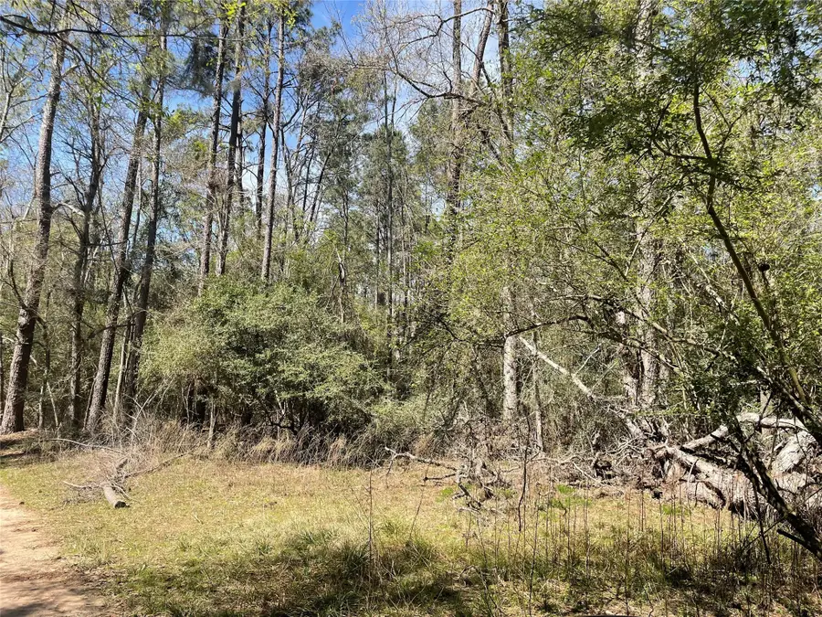 404 Possum Park Rd Road, Houston, TX 77338 - Image #3