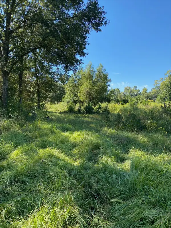 6225 County Road 2252, Cleveland, TX 77327