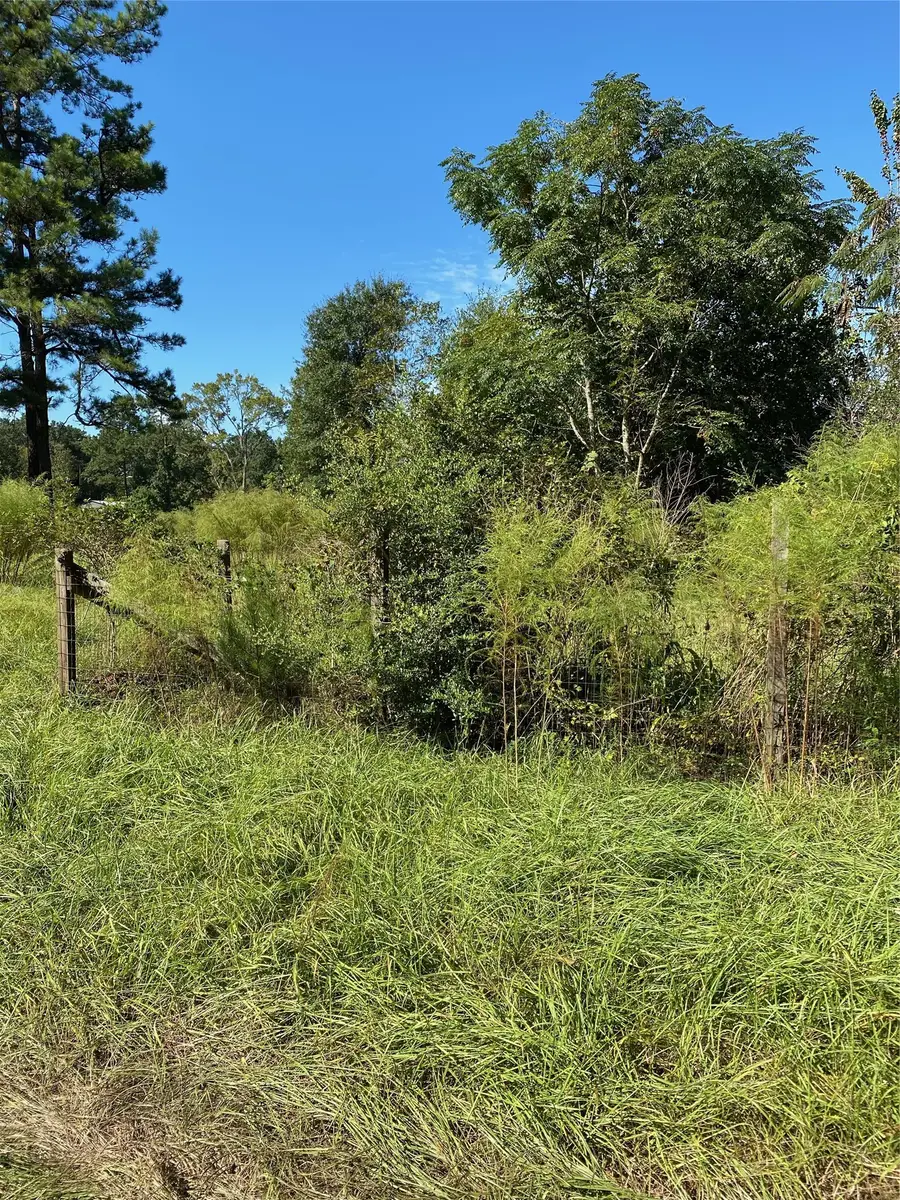 6225 County Road 2252, Cleveland, TX 77327 - #3