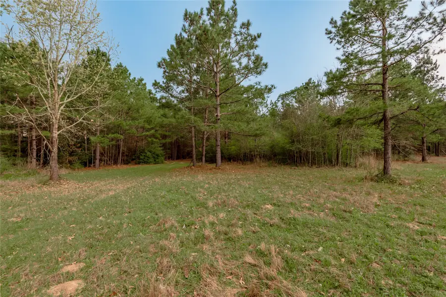 14254 Cr 2080, Crockett, TX 75835 - #3