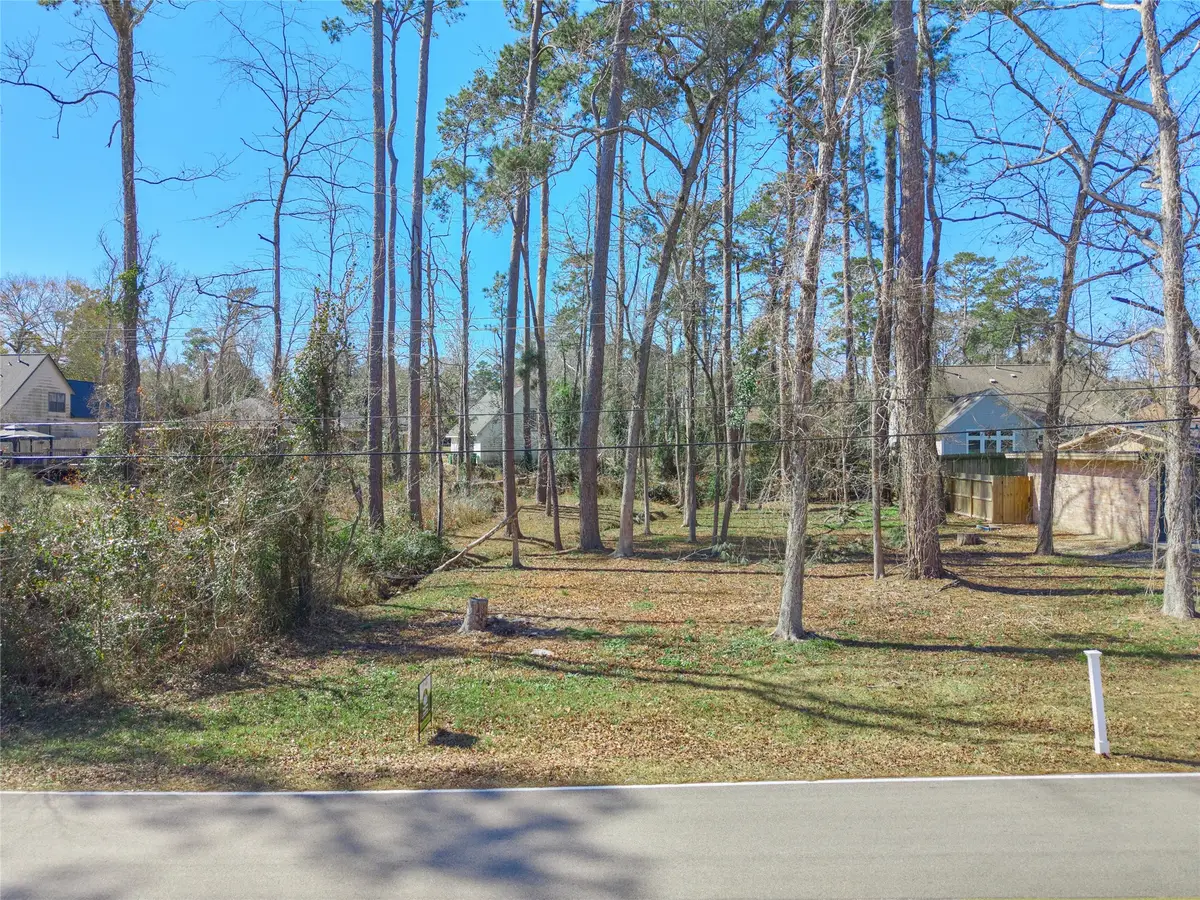 86 Hanover Lane, Conroe, TX 77304 - #1