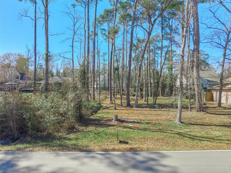 86 Hanover Lane, Conroe, TX 77304 - #3