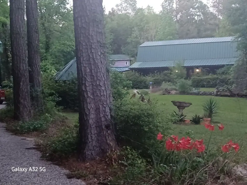 755 Evangeline Drive, Vidor, TX 77662 - #1