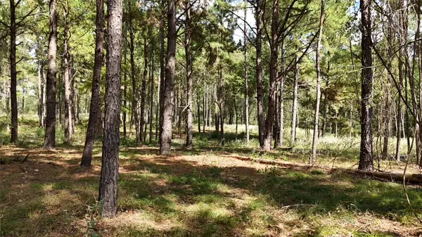 TBD Cherokee Trail, Lovelady, TX 77851