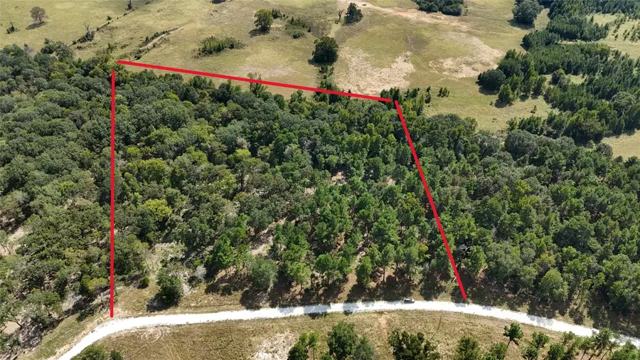 TBD Cherokee Trail, Lovelady, TX 77851 - #2