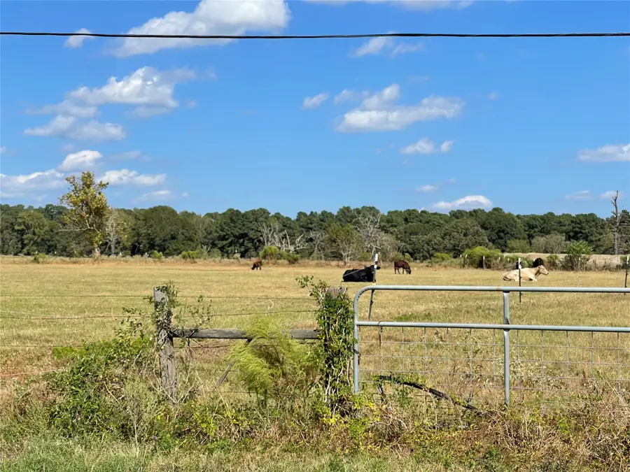 20386 Fm 2854, Montgomery, TX 77356 - Image #3
