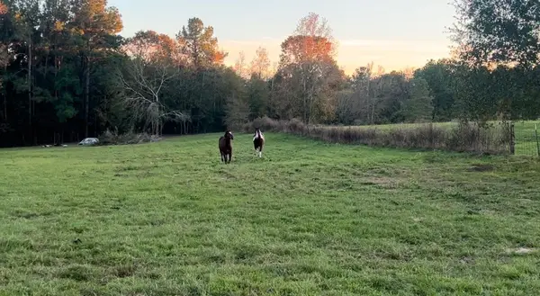 9953 Chestnut Court, Montgomery, TX 77316